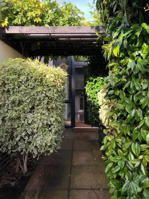 Private Garden Oasis In Central Bristol Eksteriør bilde